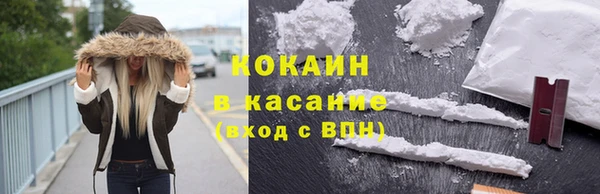 шишки Остров