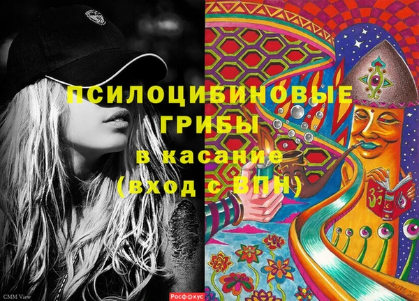 шишки Остров