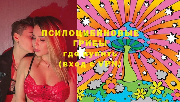 шишки Остров