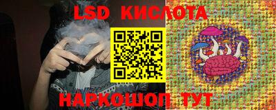 прущие грибы Пугачёв