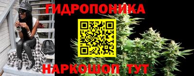прущие грибы Пугачёв