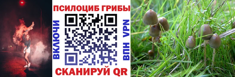 даркнет сайт  Шарыпово  Галлюциногенные грибы ЛСД 
