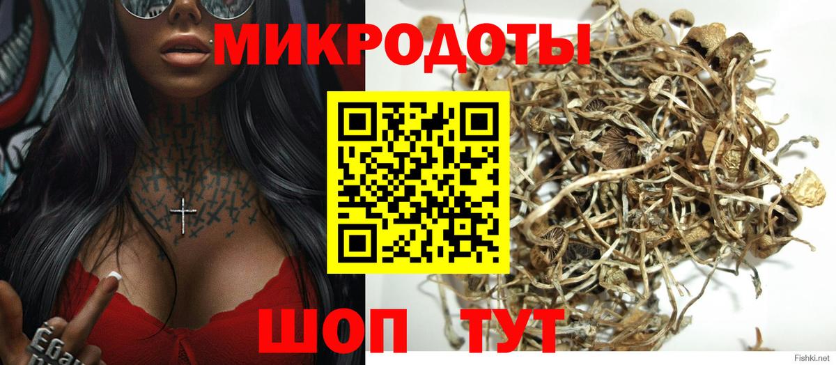 Шарыпово  Псилоцибиновые грибы прущие грибы  Вход с VPN  Псилоцибиновые грибы Cubensis 