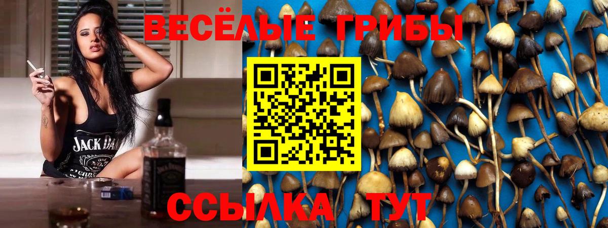 Галлюциногенные грибы MAGIC MUSHROOMS Шарыпово